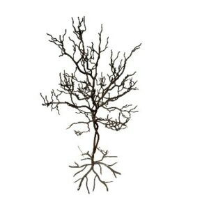 924910a4-58ed-4d67-92ff-e5182663def8jpg