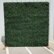 8 x 8ft Double Sided Green Boxwood Wall
