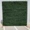 10 x 10ft Green Boxwood Wall
