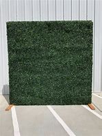 10 x 10ft Green Boxwood Wall