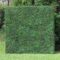 10 x 10ft Two - Toned Boxwood Wall