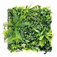 8 x 8ft Fern Boxwood Wall