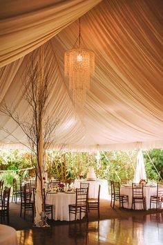 Tent/Ceiling Drape