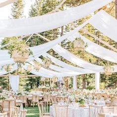 Tent/Ceiling Drape