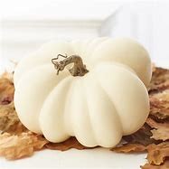 OIP-2024-10-29T120919337jpg