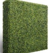 12 x 12ft Double Sided Green Boxwood Wall