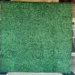 8 x 8ft Green Boxwood Wall