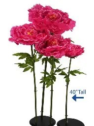 Assorted Giant Floral