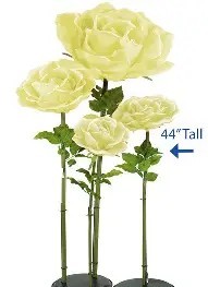 Assorted Giant Floral