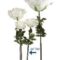 Assorted Giant Floral