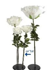 Assorted Giant Floral