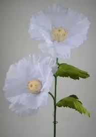 Assorted Giant Floral
