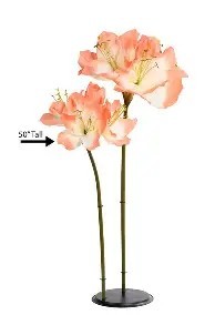 Assorted Giant Floral